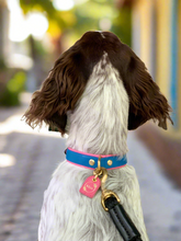 Load image into Gallery viewer, Genuine Leather Dog Collar: Key Largo Collar