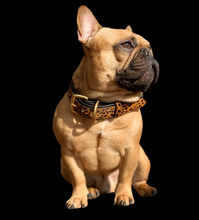 Load image into Gallery viewer, Genuine Leather Dog Collar: Diana Collar