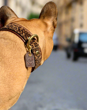 Load image into Gallery viewer, Genuine Leather Dog Collar: Monroe Collar