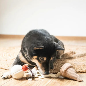 A Winning Pup Pleaser Ice Cream Pop Bouncy + Snuffle Play Object