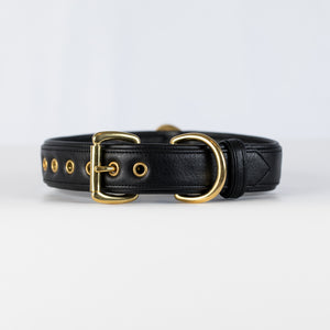 The Ascot Dog Collar