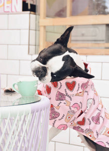 Dog Shirt "Brunch Date" For All Breeds & Sizes