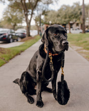 Load image into Gallery viewer, Genuine Leather Dog Collar: Cavalli Collar