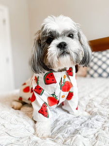 It’s Back! Customer FAV! Dog Shirt "Tutti Frutti" For All Breeds & Sizes