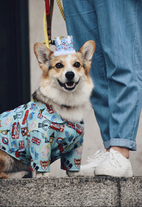 t-shirt for dogs  blue color dog shirt  shirt for pets  pet shirt  brunch shirt  shirt with print  blue shirt  shirt for dog