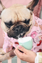 Load image into Gallery viewer, Dog Shirt &quot;Brunch Date&quot; For All Breeds &amp; Sizes