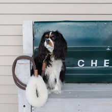 Load image into Gallery viewer, Genuine Shearling, Leather, &amp; Nylon Rope Leash For Dogs: St. Moritz Leash