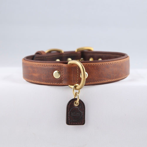 Genuine Leather Dog Collar: Barneys Collar