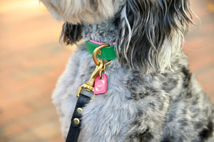 Bestseller// Genuine Leather Dog Collar: Pip Collar  Equestrian Green & Hot Pink Dog Collar