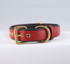 Genuine Leather Dog Collar: Athens Collar